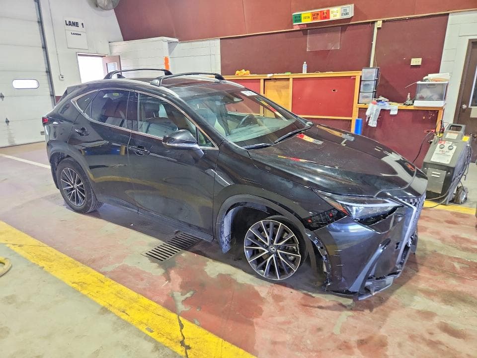 2024 LEXUS NX 250 BASE 4