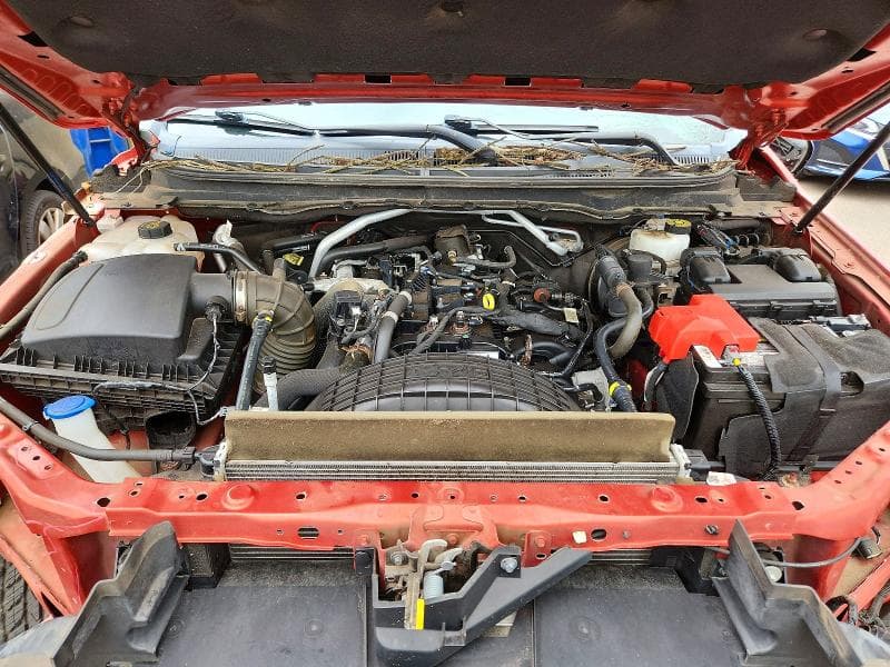 2019 FORD RANGER XL 11