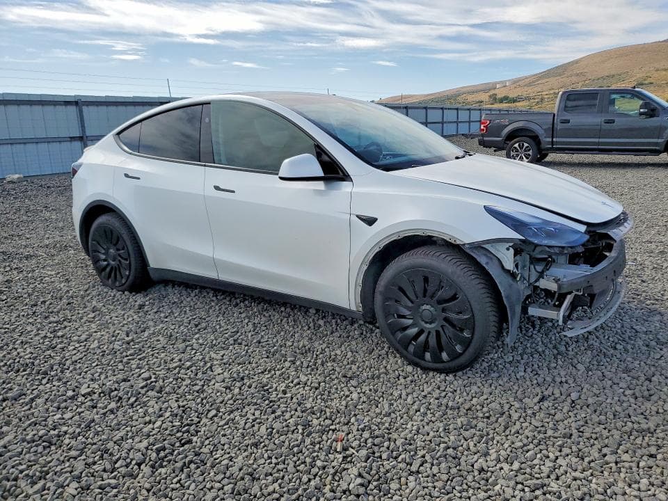 2024 TESLA MODEL Y 4
