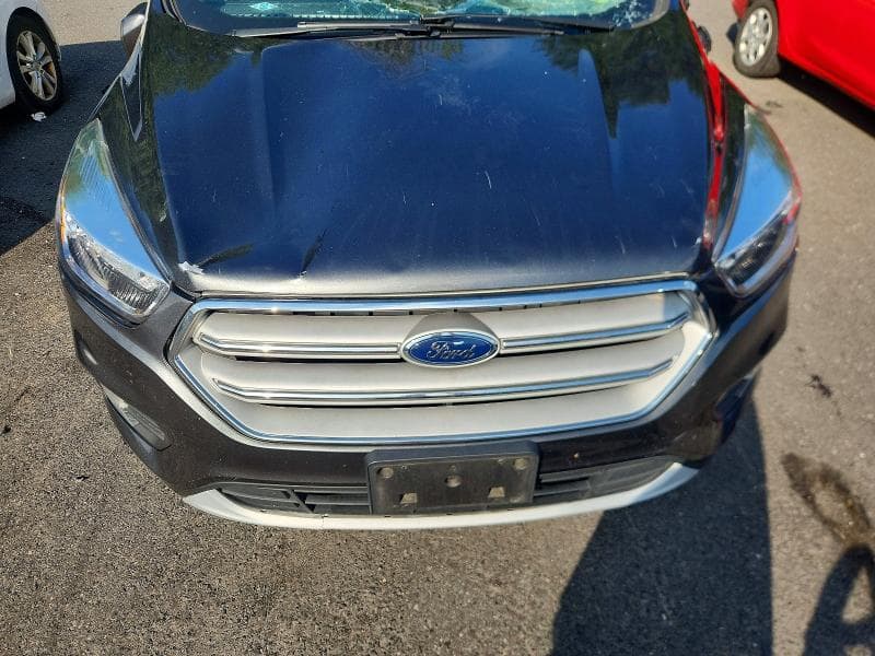2019 FORD ESCAPE SE 12