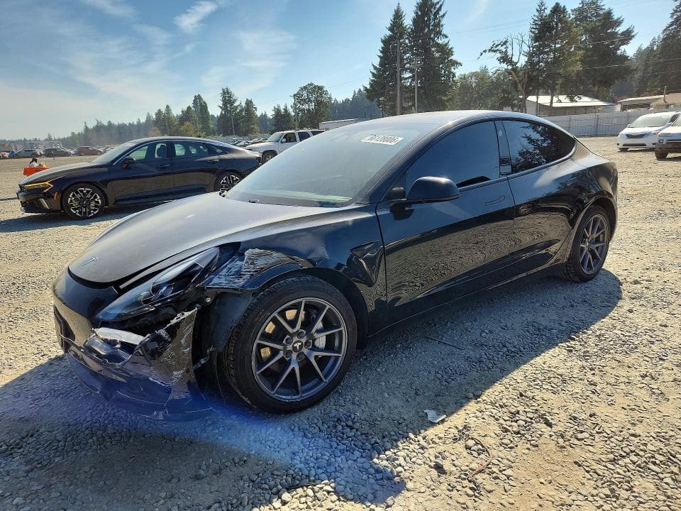 2021 TESLA MODEL 3 - 1