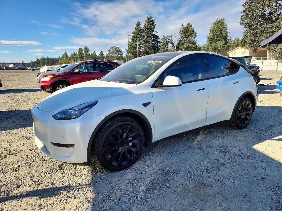 2022 TESLA MODEL Y - 1