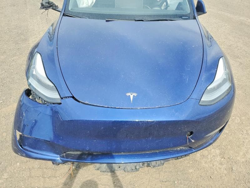 2021 TESLA MODEL Y 11