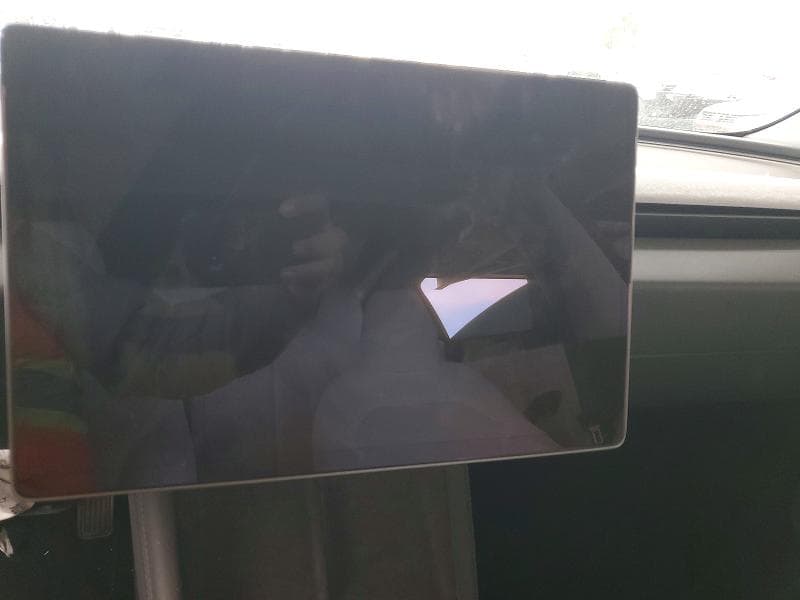 2025 TESLA MODEL 3 9