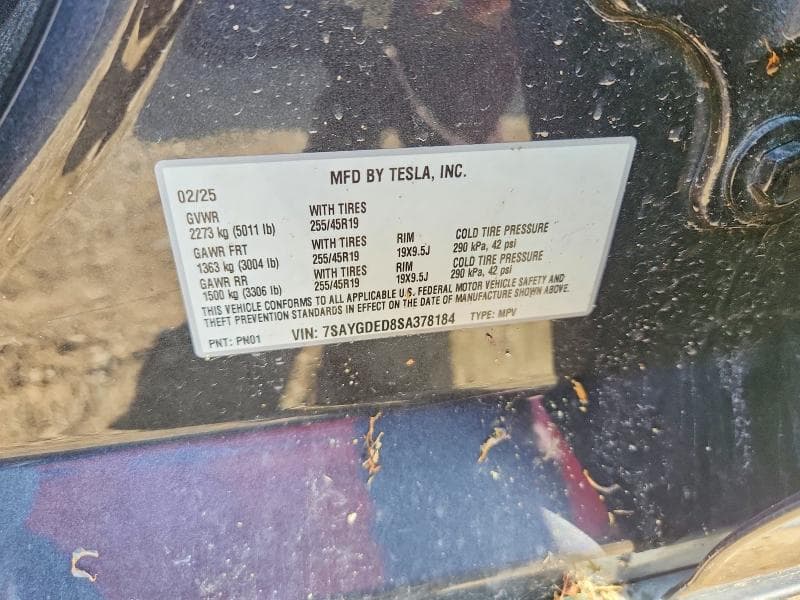 2025 TESLA MODEL Y 12