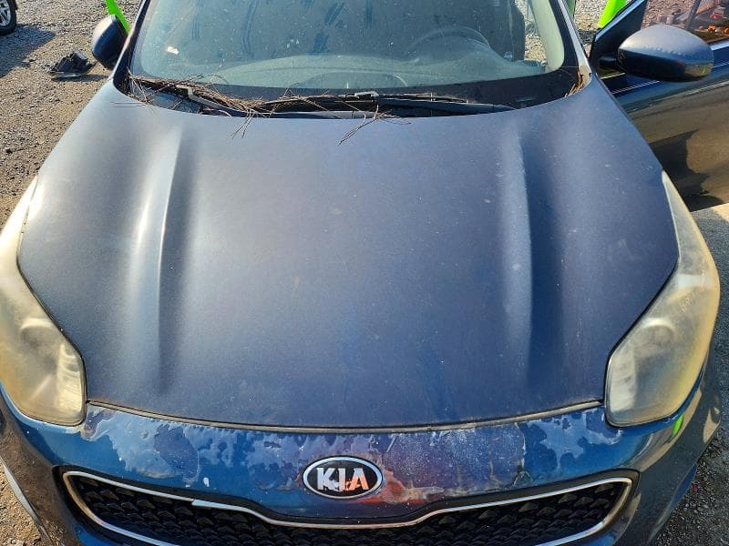 2017 KIA SPORTAGE LX 12