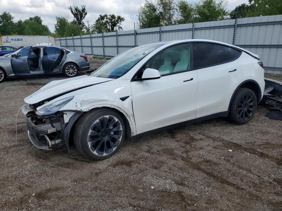 2021 TESLA MODEL Y - 1