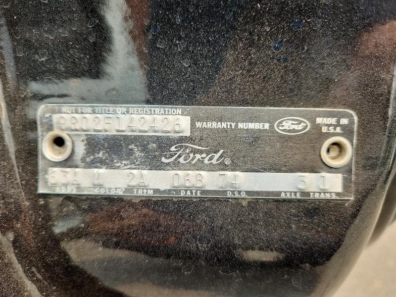 1969 FORD MUST 12
