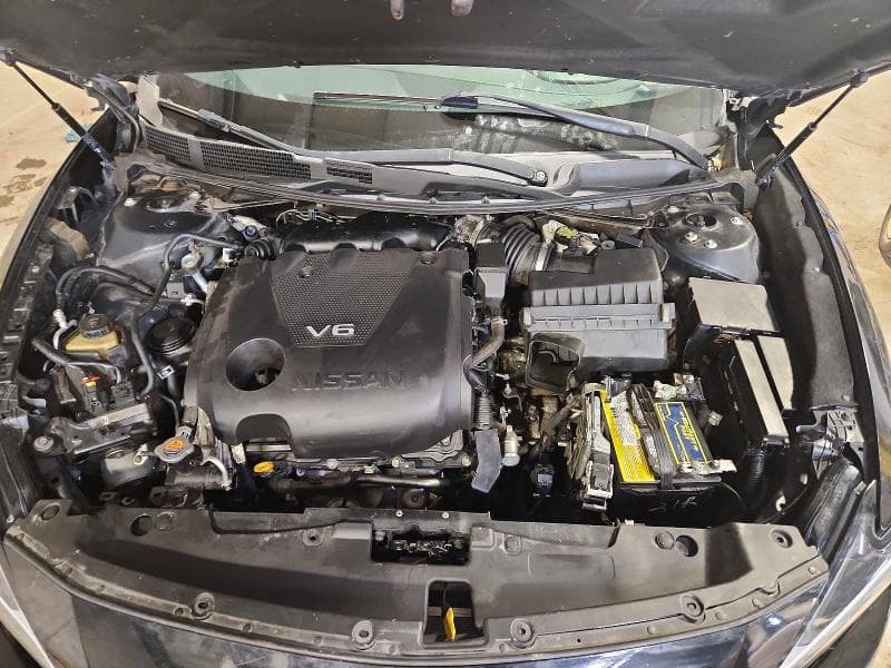 2019 NISSAN MAXIMA PLATINUM 11