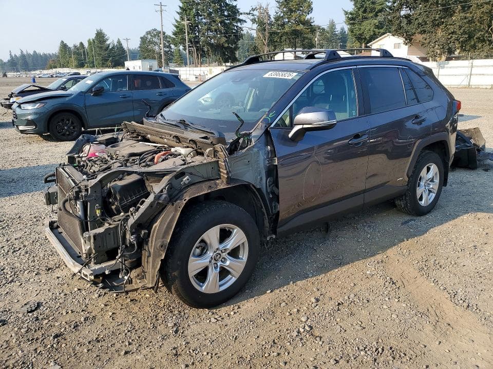2019 TOYOTA RAV4 HYBRID XLE - 1