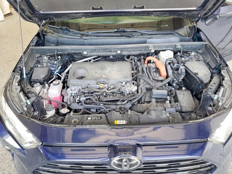 2025 TOYOTA RAV4 XLE PREMIUM 12