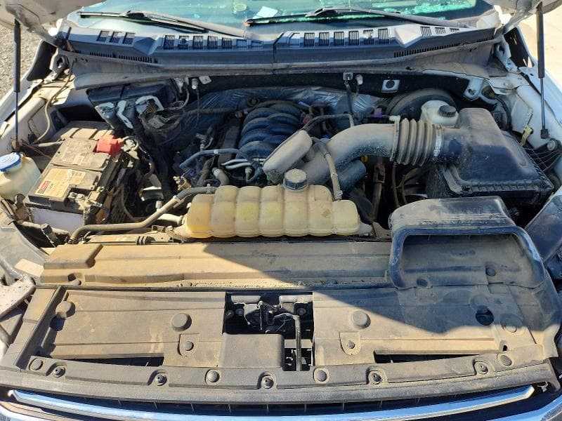 2019 FORD F150 11