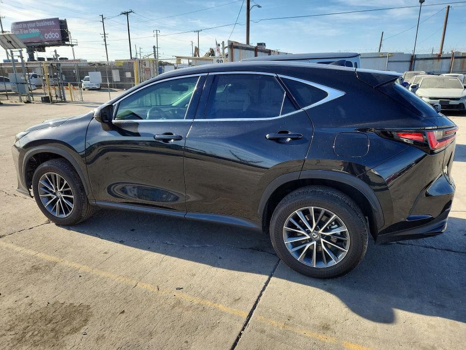 2024 LEXUS NX 250 PREMIUM 2