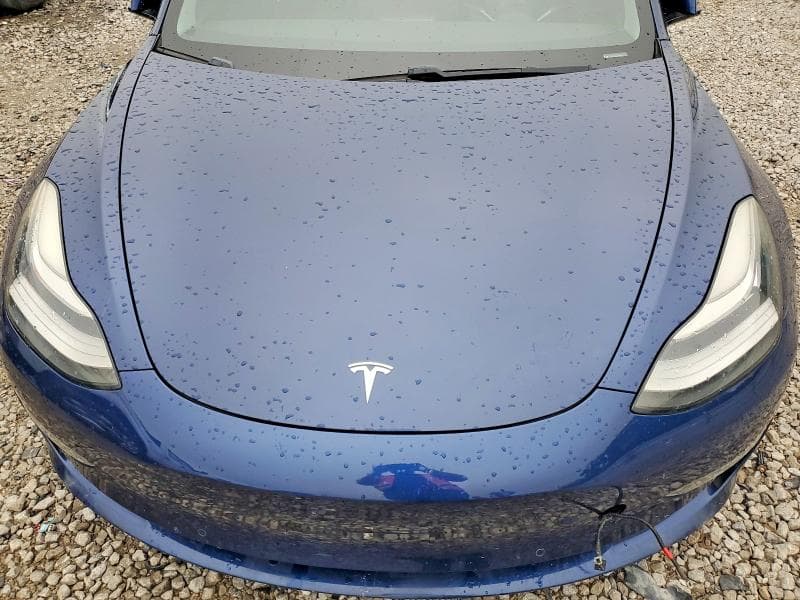 2019 TESLA MODEL 3 11