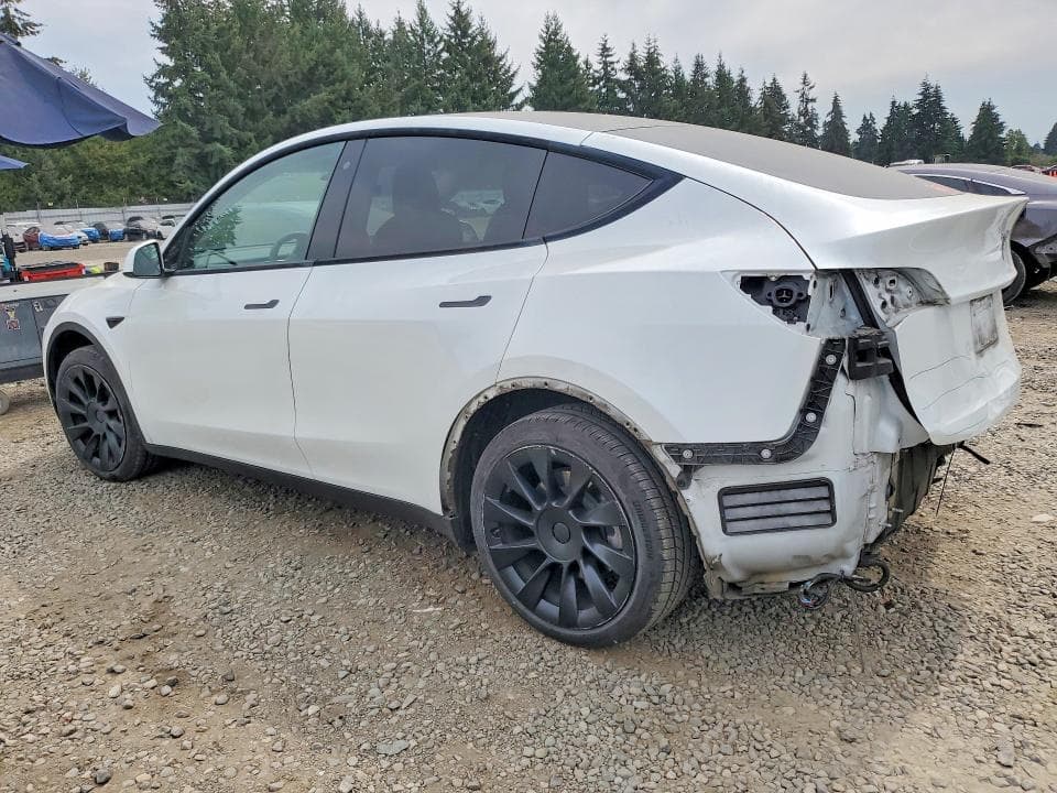 2020 TESLA MODEL Y 2
