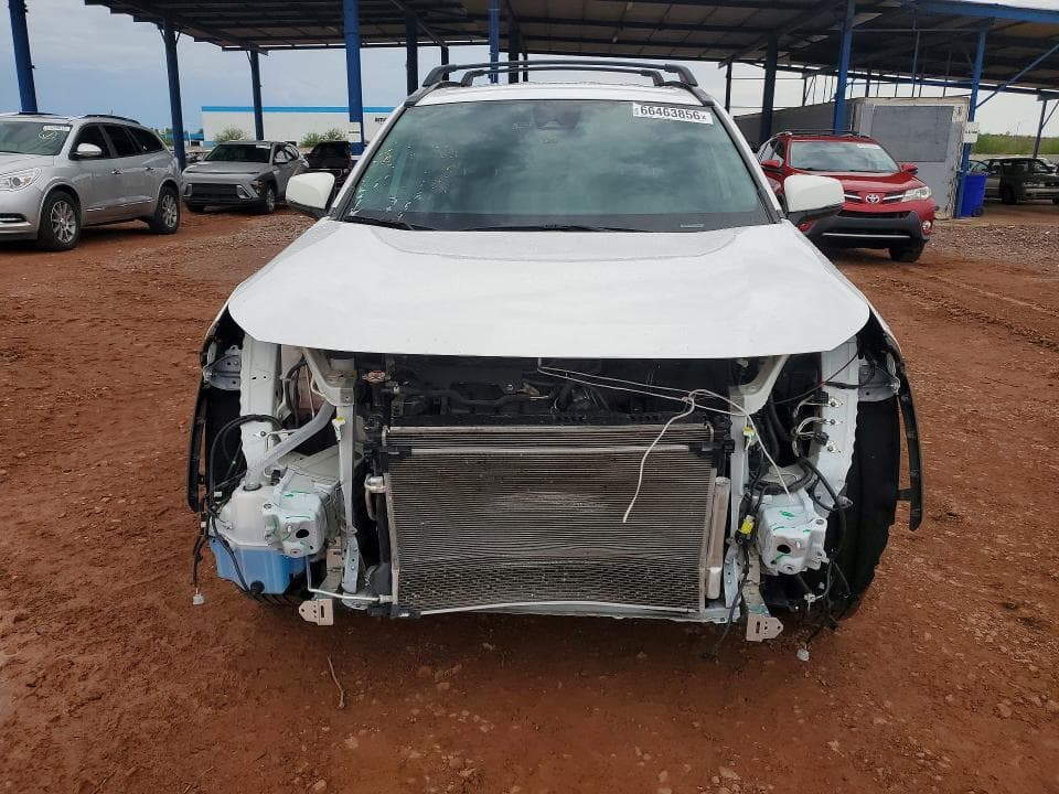 2025 TOYOTA RAV4 XLE 5