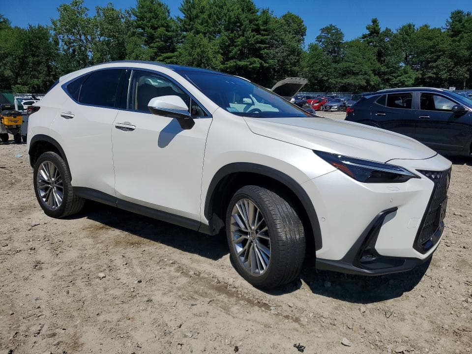 2024 LEXUS NX 350H LUXURY 4