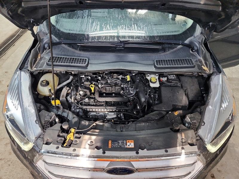 2019 FORD ESCAPE SEL 12