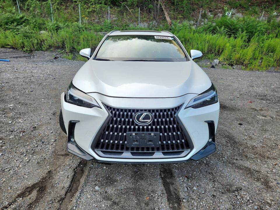 2024 LEXUS NX 350 BASE 5