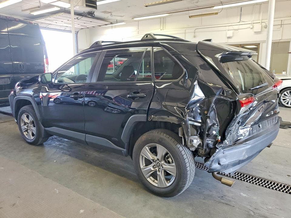 2024 TOYOTA RAV4 LE 2