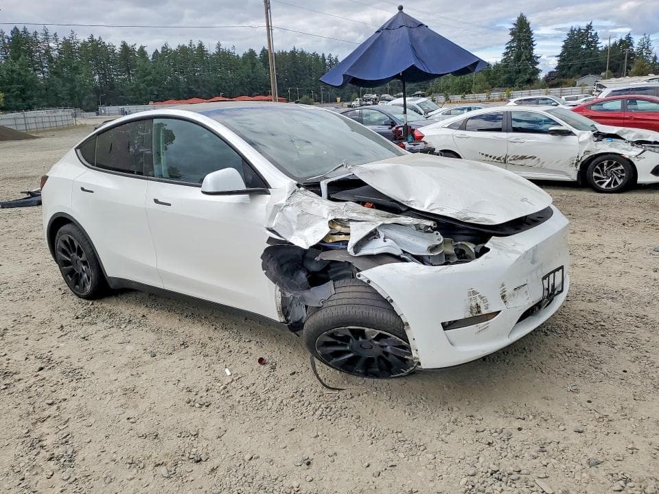 2023 TESLA MODEL Y 4