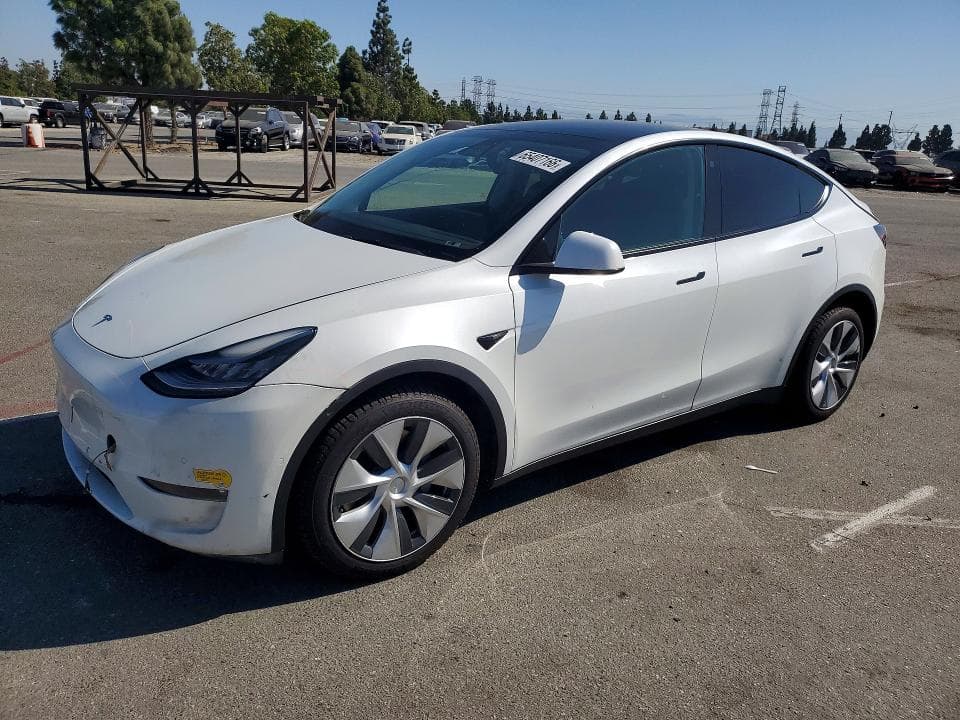 2021 TESLA MODEL Y - 1