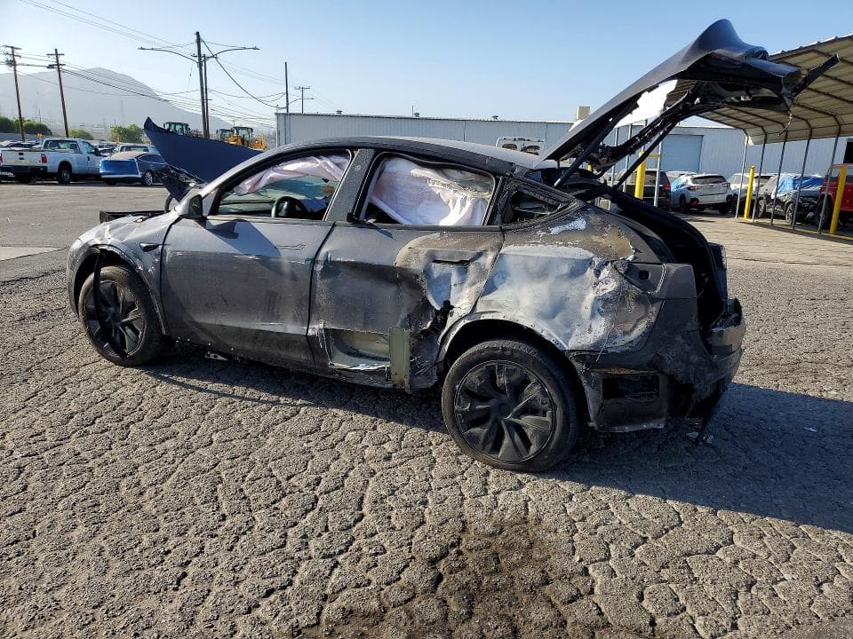 2025 TESLA MODEL Y 2
