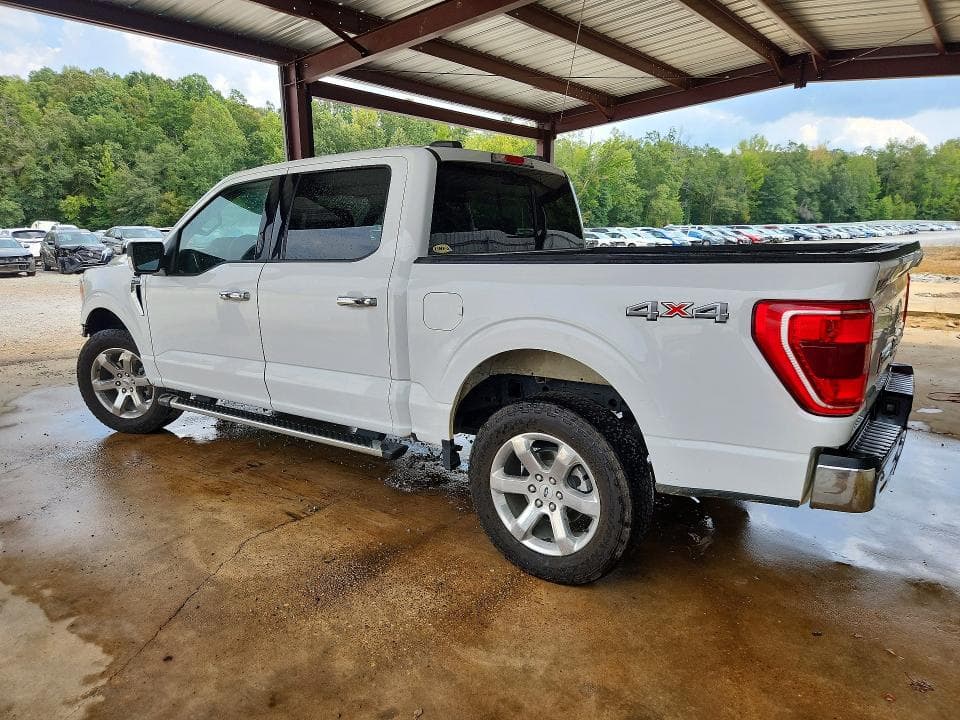 2023 FORD F150 SUPERCREW 2