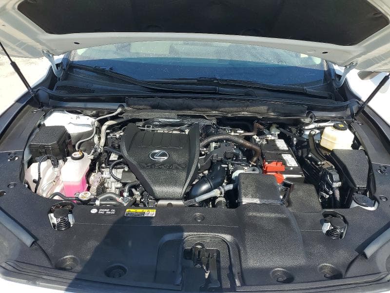 2025 LEXUS RX 350 PREMIUM+ 12