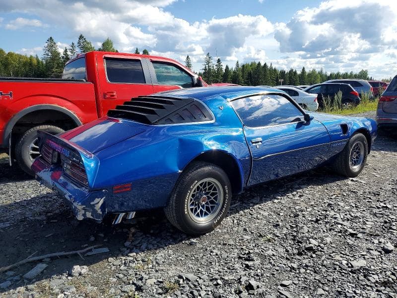 1978 PONTIAC TRANS AM 3