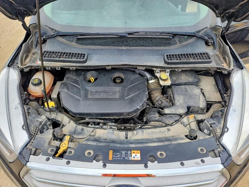 2019 FORD ESCAPE TITANIUM 12