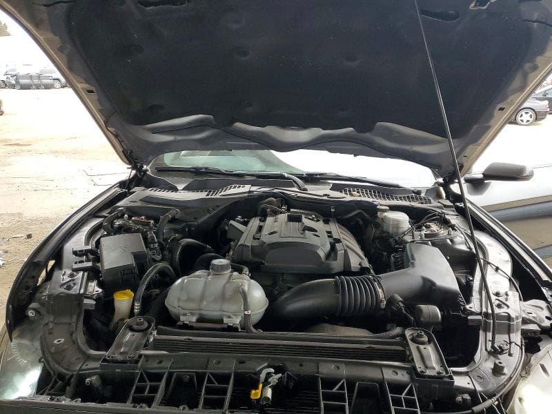 2019 FORD MUSTANG 11
