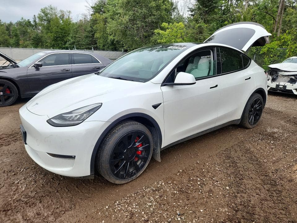 2022 TESLA MODEL Y - 1