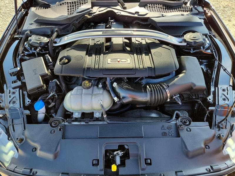 2021 FORD MUSTANG GT 11