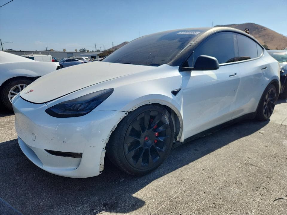 2021 TESLA MODEL Y - 1