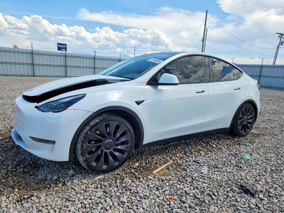 2023 TESLA MODEL Y - 1