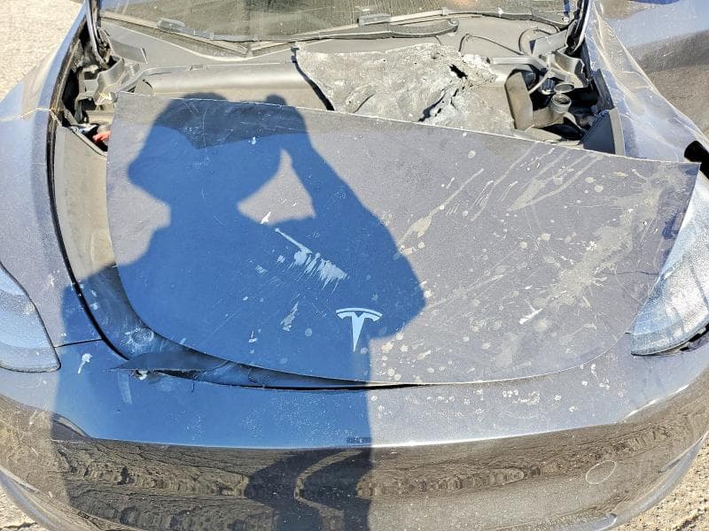 2025 TESLA MODEL Y 11