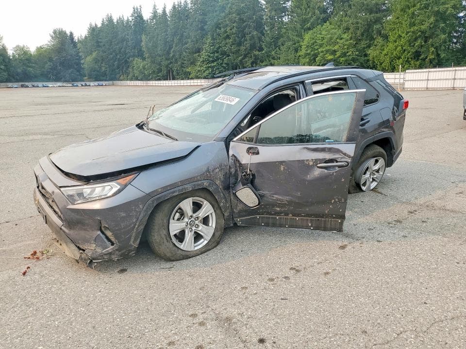 2019 TOYOTA RAV4 XLE - 1