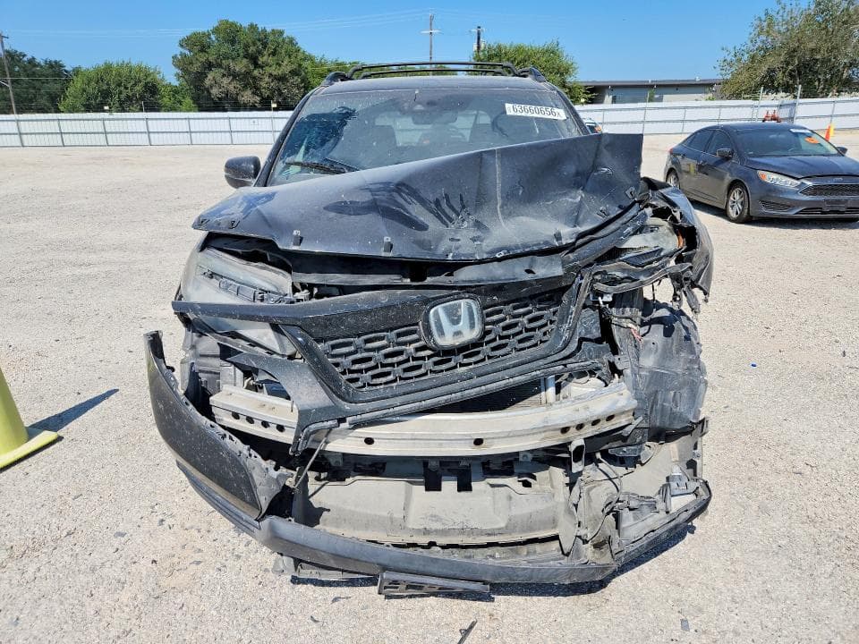 2019 HONDA PASSPORT ELITE 5