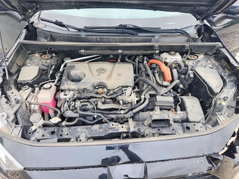 2019 TOYOTA RAV4 HYBRID XLE 12