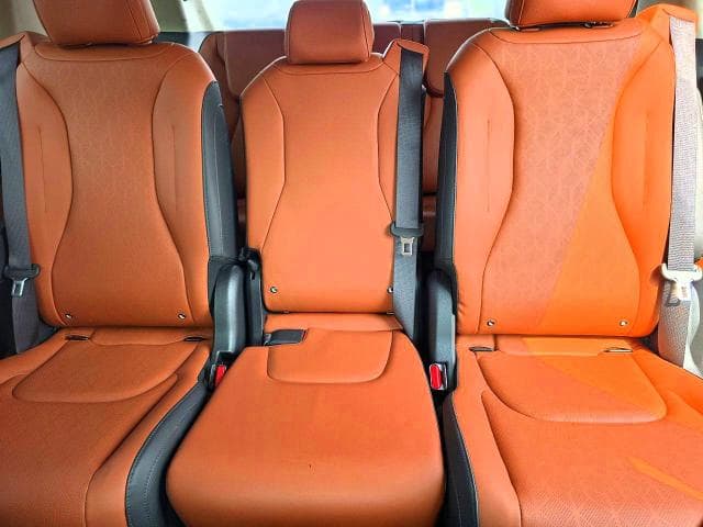 2024 KIA CARNIVAL SX 10