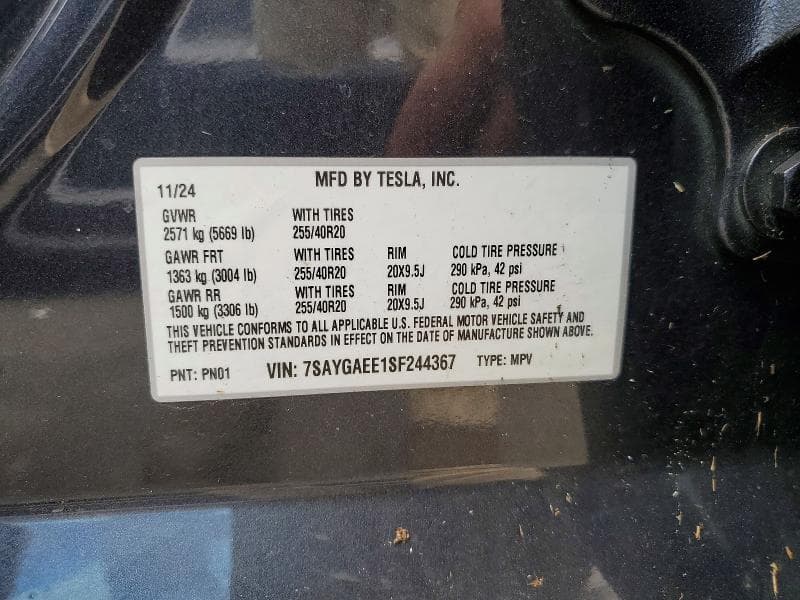 2025 TESLA MODEL Y 14