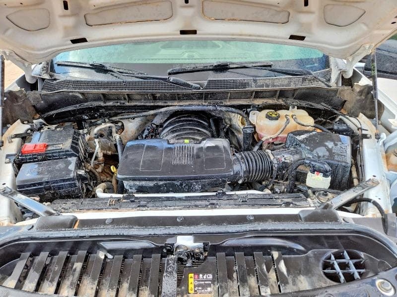 2023 CHEVROLET SILVERADO K1500 11