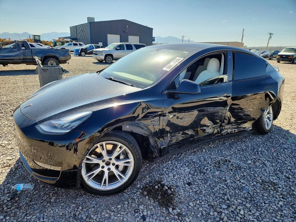 2020 TESLA MODEL Y - 1