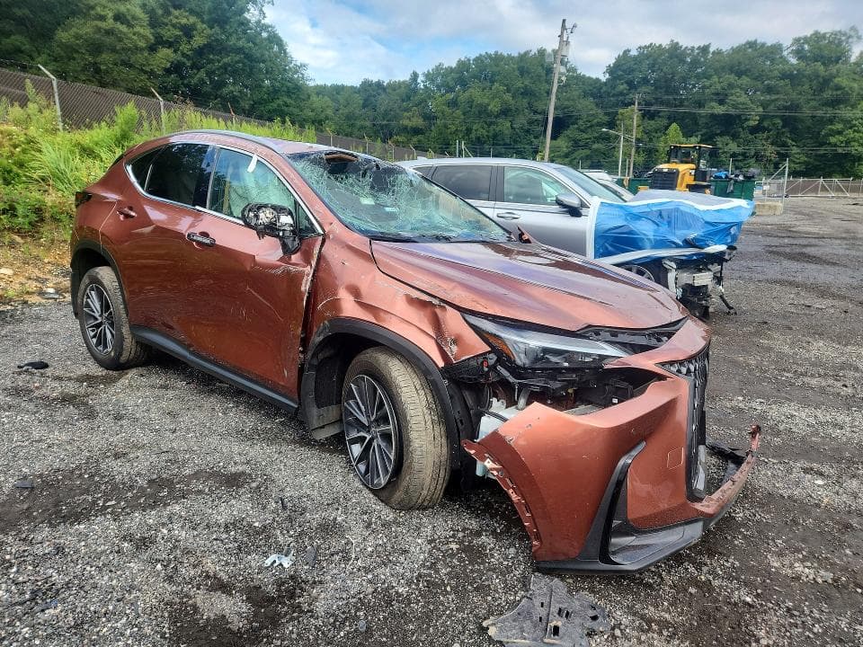 2025 LEXUS NX 350 PREMIUM 4
