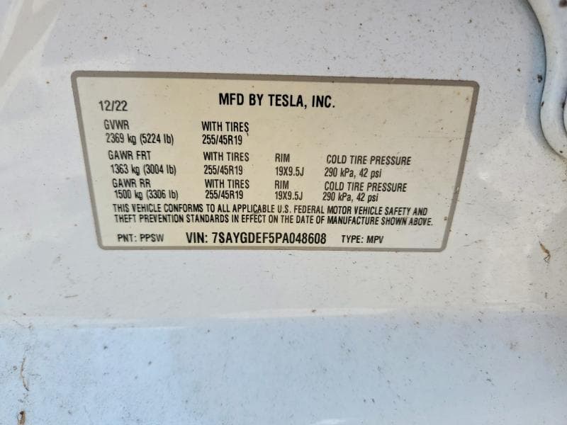2023 TESLA MODEL Y 12
