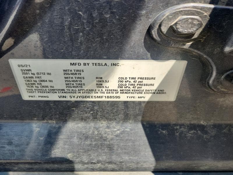 2021 TESLA MODEL Y 12