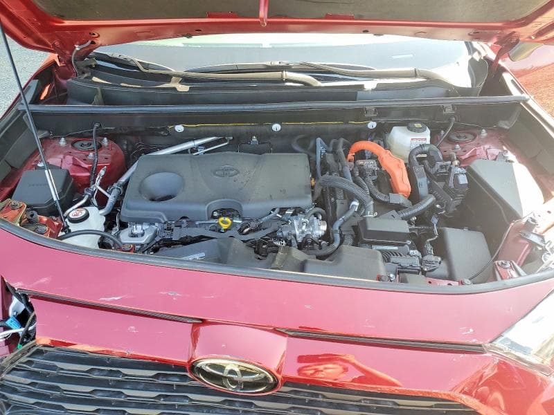 2025 TOYOTA RAV4 XLE PREMIUM 12
