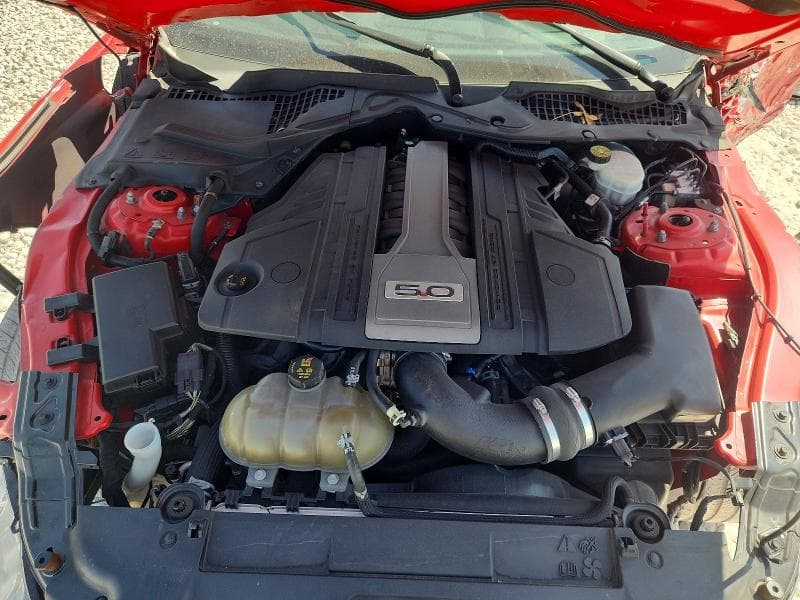 2019 FORD MUSTANG GT 11