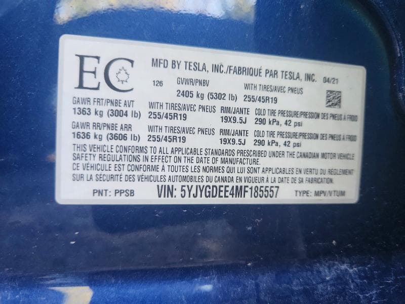 2021 TESLA MODEL Y 12